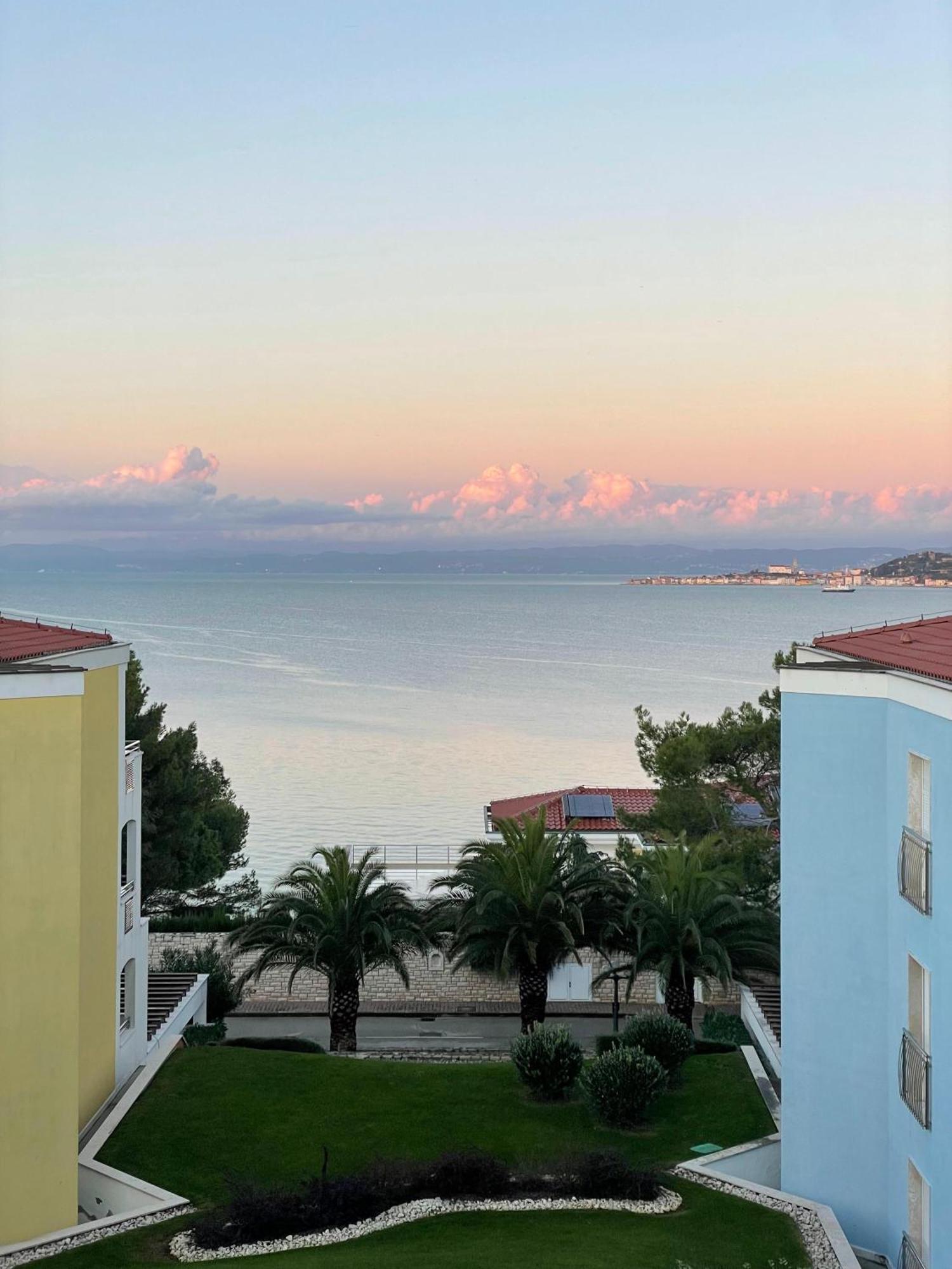 Apartment Tamara By Partner Tourist Agency Savudrija Εξωτερικό φωτογραφία